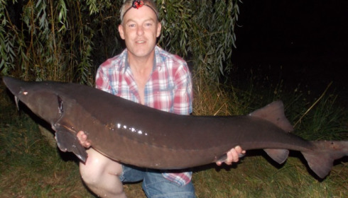 A 56 lb sturgeon from Laroussi, Chris Kirk, Aug 2013