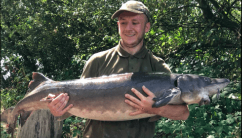 A carp from Laroussi, Aug 2018