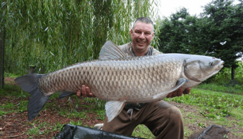 A 38 lb grass carp from Laroussi, Keith Scholes, Sep 2017