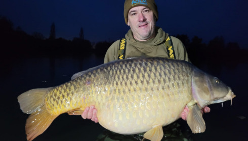 A 60 lb carp from Laroussi, Sébastien, Nov 2022