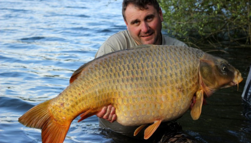 A 50 lb 8 oz carp from Laroussi, Steven Male and the Ghost common, May 2015