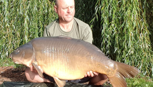 A 42 lb carp from Laroussi, MARK BAMBRIDGE, Aug 2017