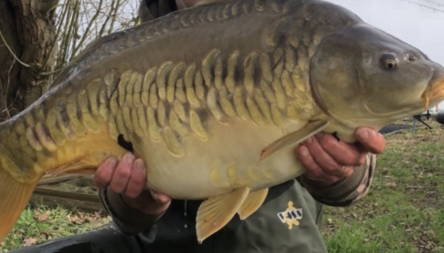 A fish from Laroussi, Mar 2023