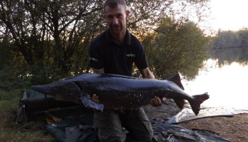 A sturgeon from Laroussi, Robin Thomas, Sep 2016