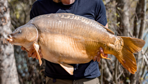 A carp from Lepinet North, Apr 2023