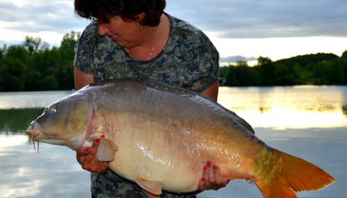 A carp from Lepinet North, Joop hoegee, Jul 2021
