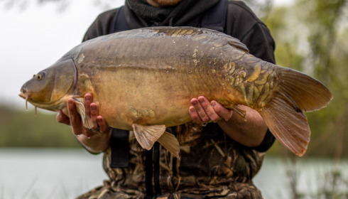A carp from Lepinet North, Apr 2023