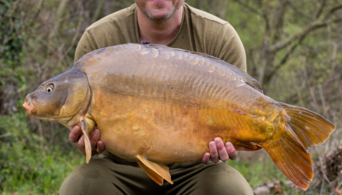 A carp from Lepinet North, Apr 2023