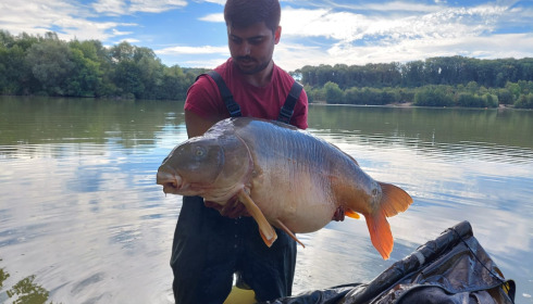 A 55 lb carp from Lepinet North, Aug 2022