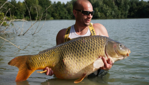 A fish from Lepinet North, Sep 2021