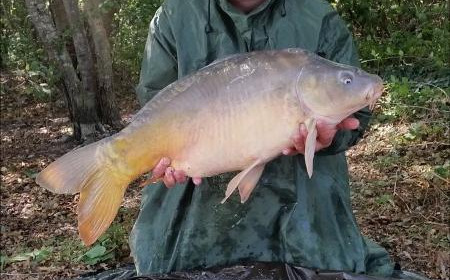 A carp from Lepinet North, Martin Miller, Sep 2019