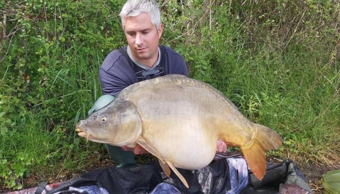 A carp from Lepinet North, guigui, May 2021