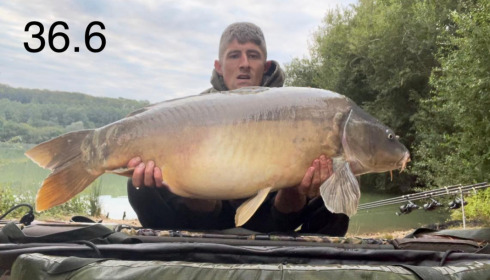 A 36 lb 6 oz carp from Lepinet North, cooper, Sep 2021