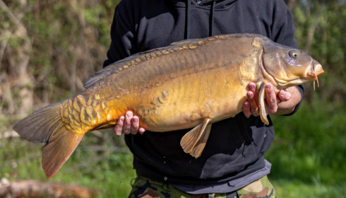 A carp from Lepinet North, Apr 2023