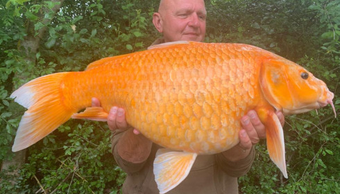 A 21 lb carp from Lepinet North, rick jankowicz, Jun 2021