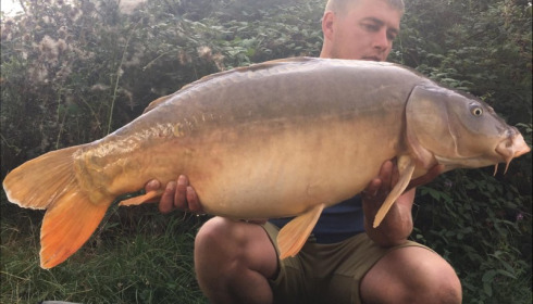 A carp from Lepinet North, Aug 2019