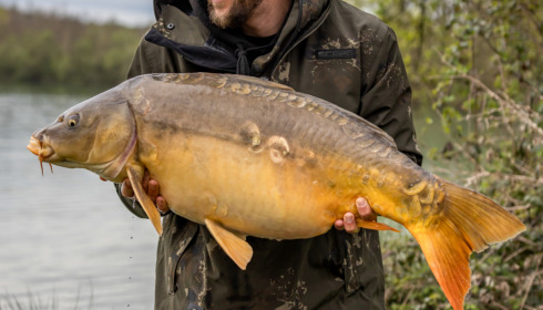 A carp from Lepinet North, Apr 2023