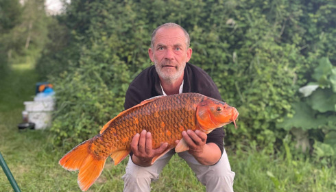 A fish from Lepinet North, denis, Jun 2021