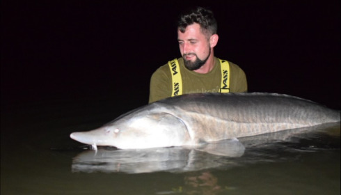 A sturgeon from Lepinet North, Nicholas Lowe, Aug 2019
