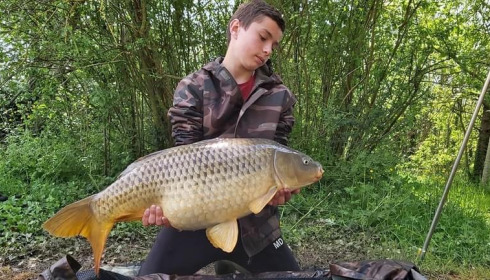 A carp from Lepinet North, guigui, May 2021
