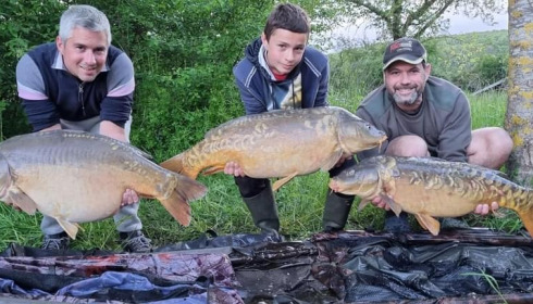 A carp from Lepinet North, guigui, May 2021