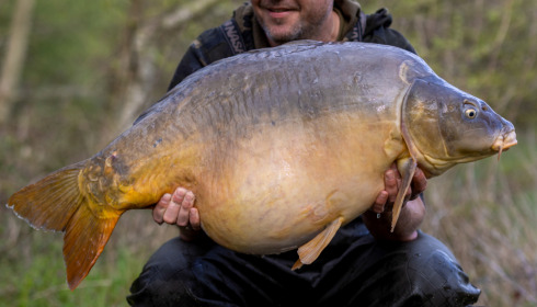 A carp from Lepinet North, Apr 2023