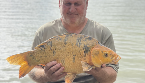 A carp from Lepinet North, Anthony Brindle, Sep 2022