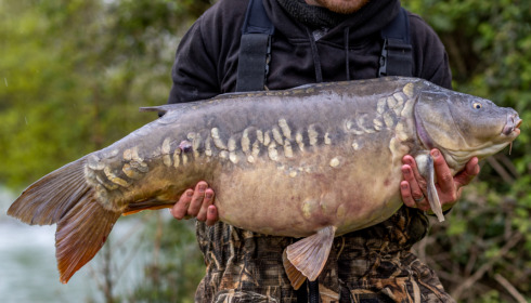 A carp from Lepinet North, Apr 2023