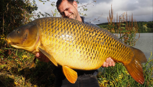 A 63 lb carp from Lepinet North, Additional Stocking, Oct 2019