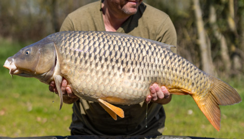 A carp from Lepinet North, Apr 2023