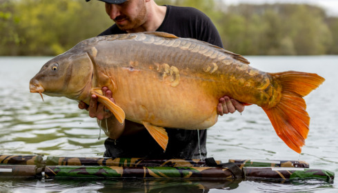 A carp from Lepinet North, Apr 2023