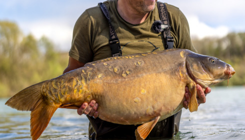 A carp from Lepinet North, Apr 2023
