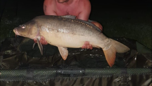A carp from Lepinet North, Aug 2019