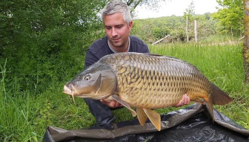 A carp from Lepinet North, guigui, May 2021