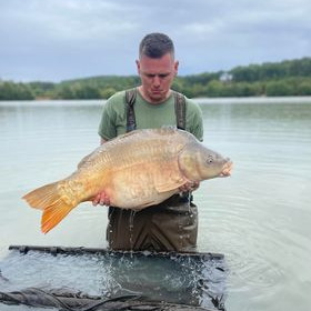A carp from Lepinet North, Sep 2022