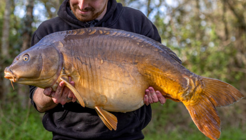 A carp from Lepinet North, Apr 2023