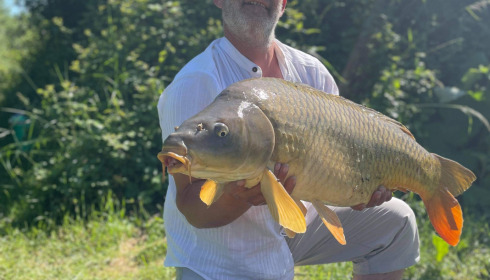 A carp from Lepinet North, denis, Jun 2021