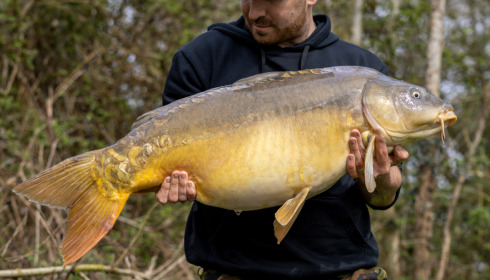 A carp from Lepinet North, Apr 2023