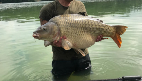 A 48 lb 12 oz carp from Lepinet North, Sep 2021