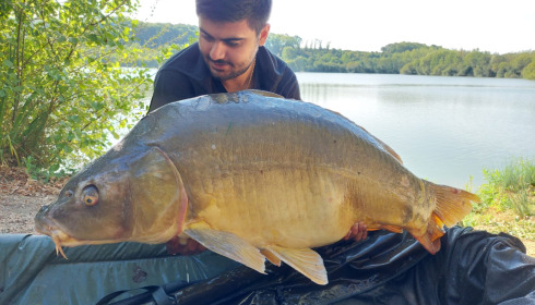 A 50 lb 13 oz carp from Lepinet North, Aug 2022