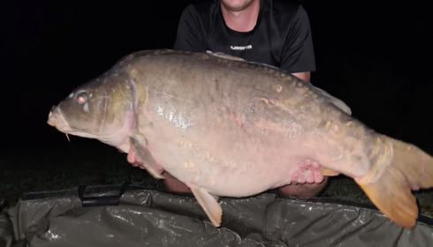 A carp from Lepinet North, Sep 2021