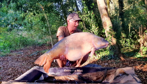 A carp from Lepinet North, erwin, Sep 2019
