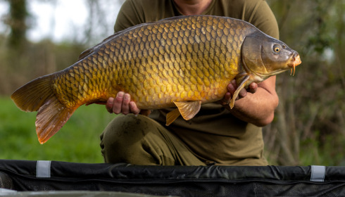 A carp from Lepinet North, Apr 2023