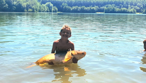 A carp from Lepinet North, mathias vasseur, Jun 2021