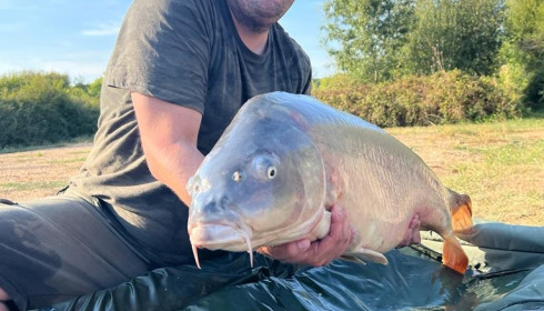 A carp from Lepinet North, Sep 2022