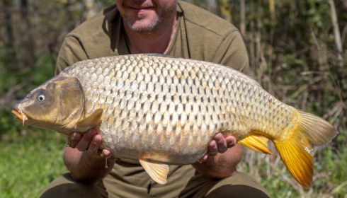 A carp from Lepinet North, Apr 2023