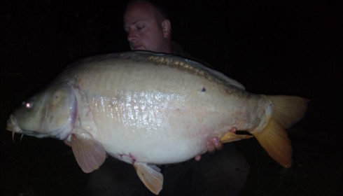 A carp from Lepinet North, Sep 2019