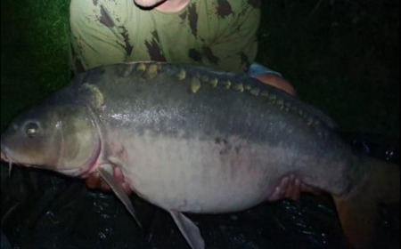 A carp from Lepinet North, Aug 2019