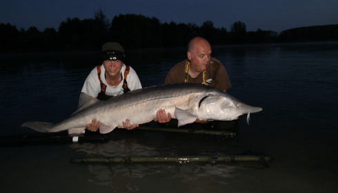 A sturgeon from Lepinet South, marcel, Aug 2021