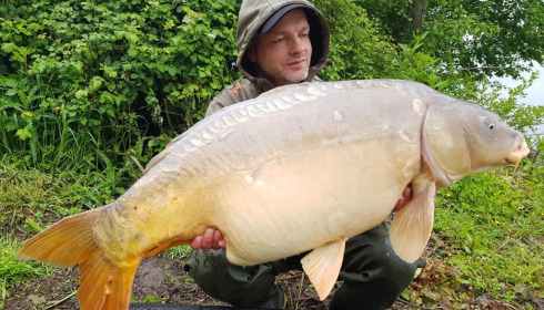 A carp from Lepinet South, a, May 2021